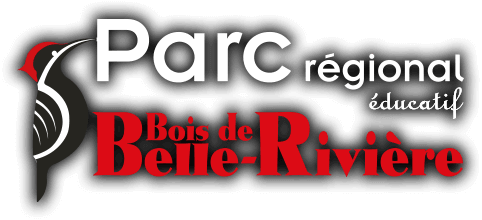 Bois de Belle-Rivière