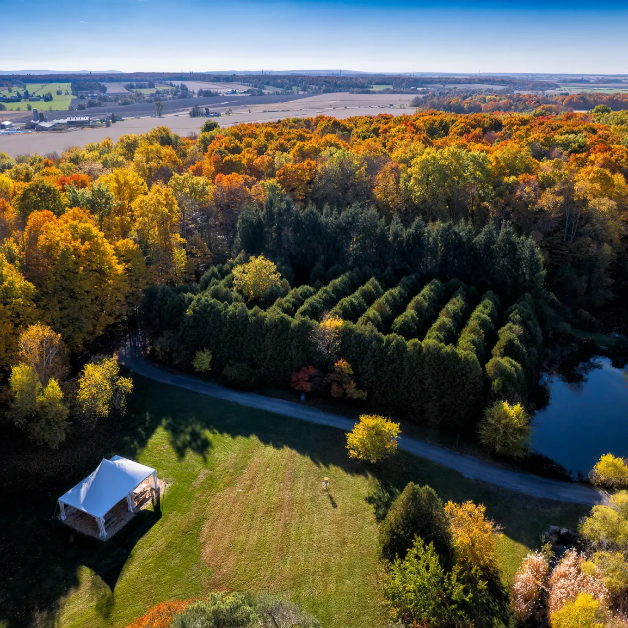 DJI_0439-HDR
